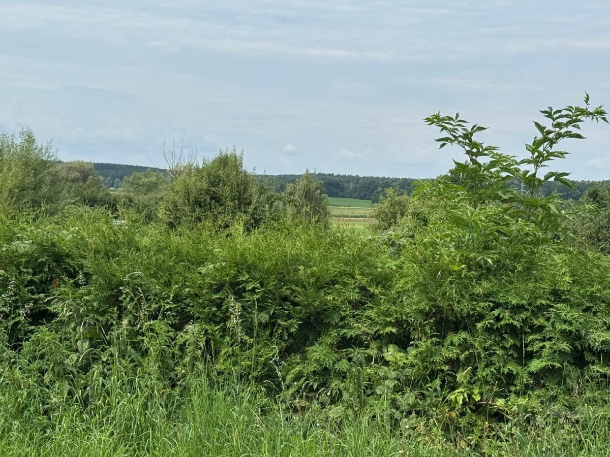 Działka budowlana Góry. Zdjęcie 9