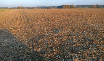 Działka rolna Suchy Grunt