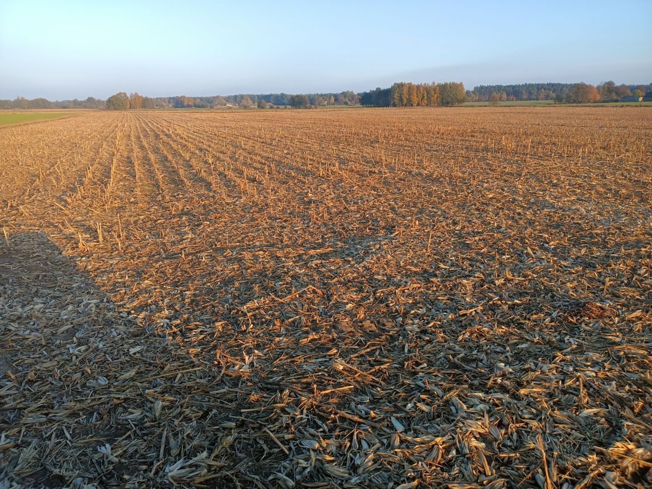 Działka rolna Suchy Grunt. Zdjęcie 2