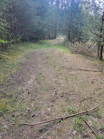 Działka budowlana Dzierżążno. Zdjęcie 2