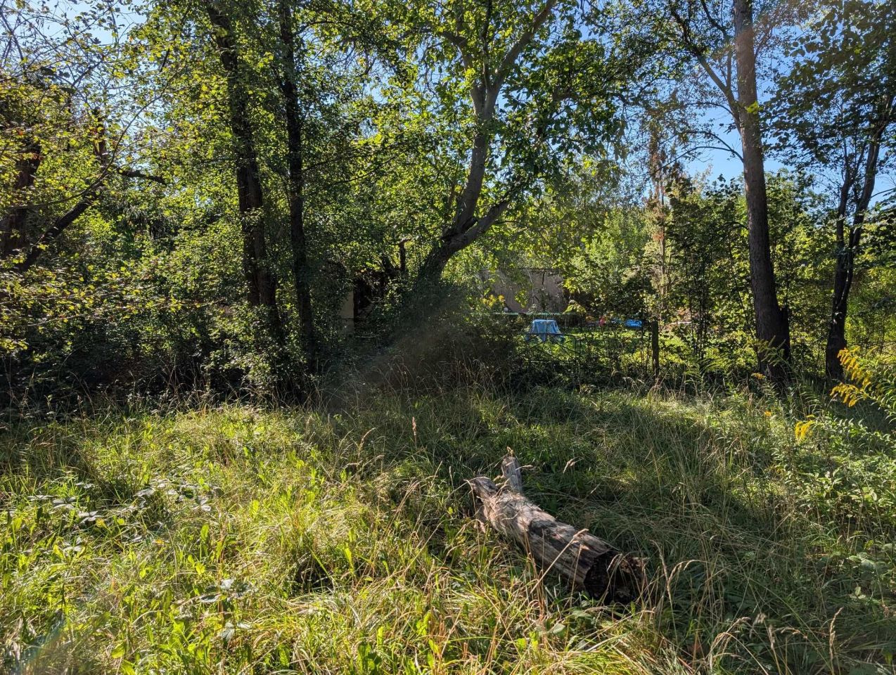 Działka rod Warszawa Mokotów. Zdjęcie 5