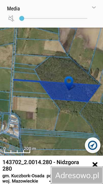 Działka leśna Nidzgora. Zdjęcie 3