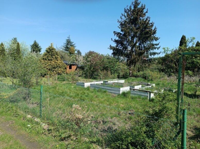 Działka rod Gdańsk Wrzeszcz, ul. Krasnoludków. Zdjęcie 4