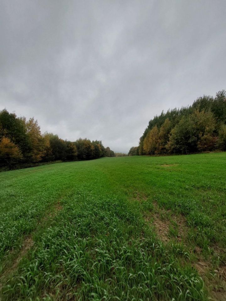 Działka rolna Pstrągowa. Zdjęcie 4