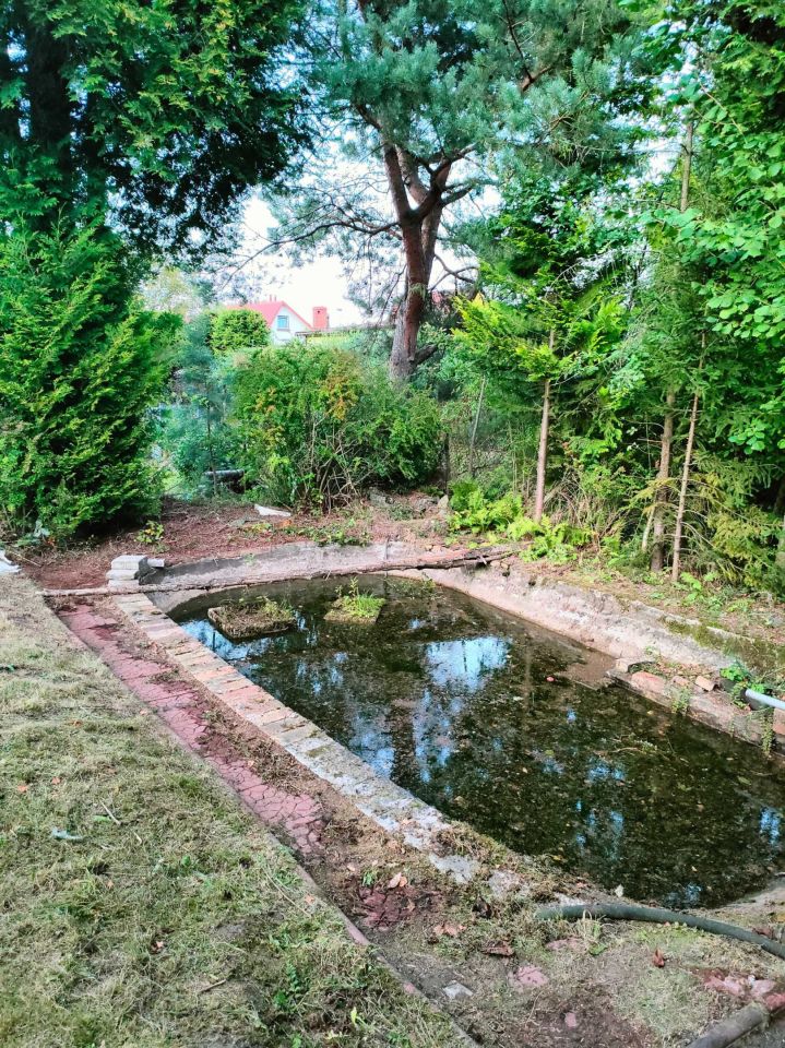 Działka rod Poręba. Zdjęcie 3