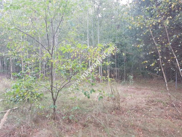 Działka budowlana Nowe Budy. Zdjęcie 1