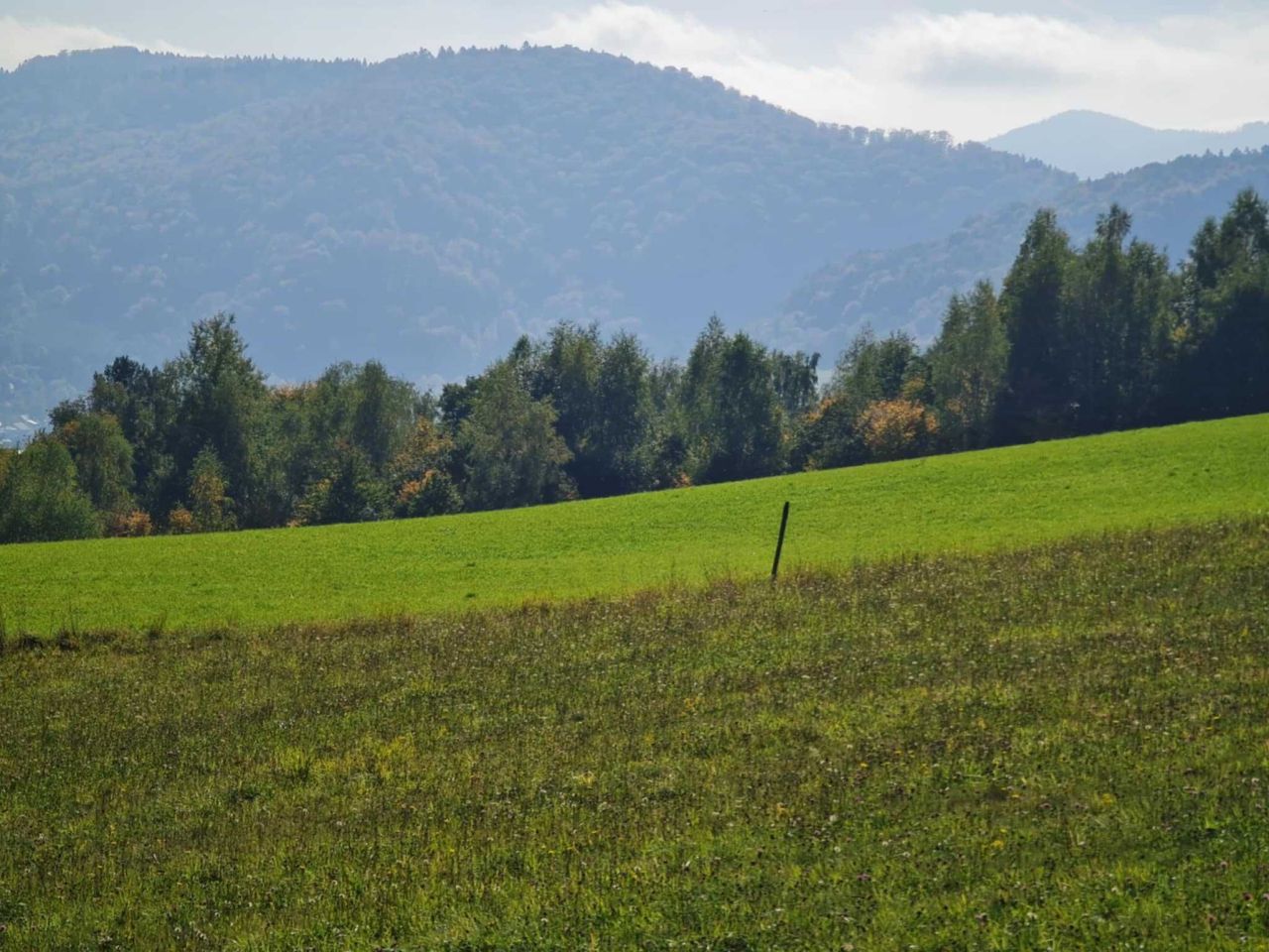 Działka Łosie. Zdjęcie 3