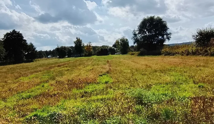 Działka rolno-budowlana Wielki Wełcz