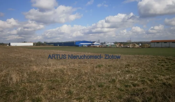 Nieruchomość komercyjna Złotów, Blękwit