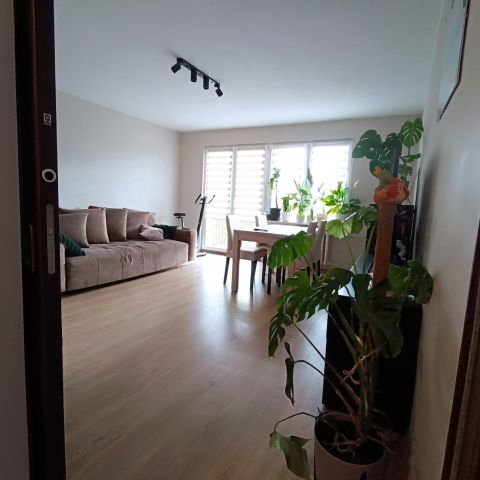 Mieszkanie 3-pokojowe Gorzów Wielkopolski. Zdjęcie 1