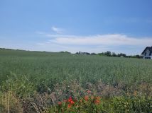 Działka budowlana Cedynia, ul. Kolonia. Zdjęcie 2