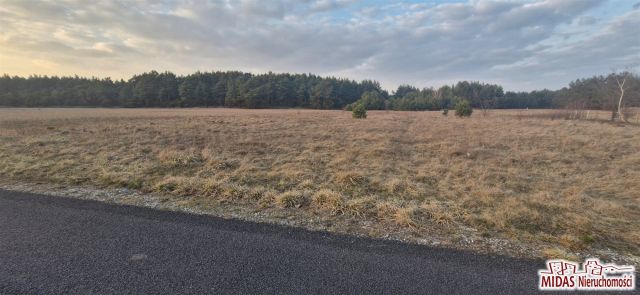 Działka budowlana Kowal. Zdjęcie 1