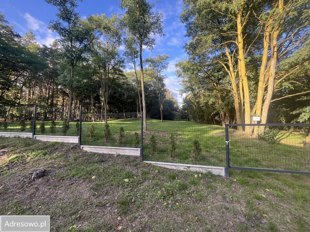 Działka budowlana Biedrzychowice Dolne. Zdjęcie 8