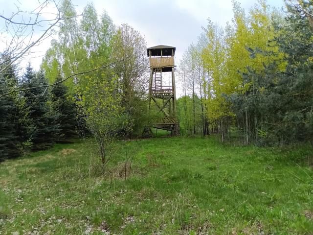 Działka rolna Smogorzewo Pańskie. Zdjęcie 14