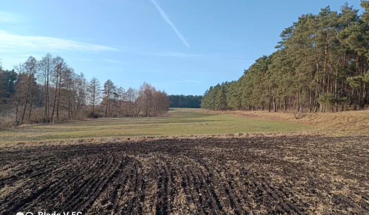 Działka rekreacyjna Małe Pułkowo