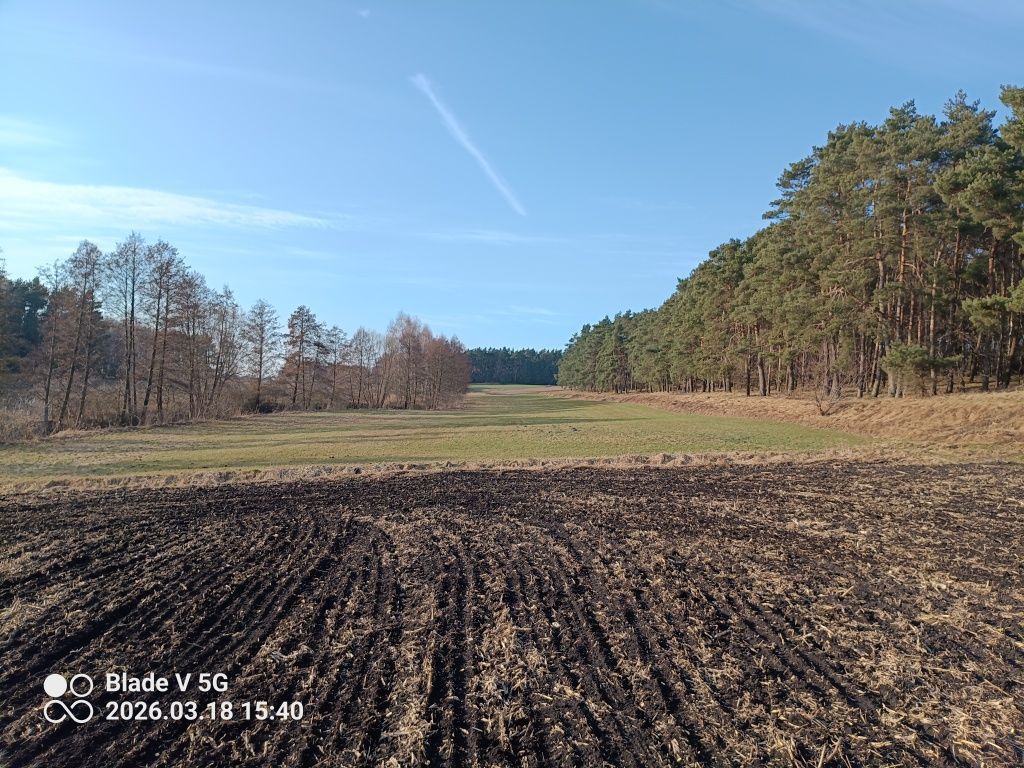 Działka rekreacyjna Małe Pułkowo. Zdjęcie 1