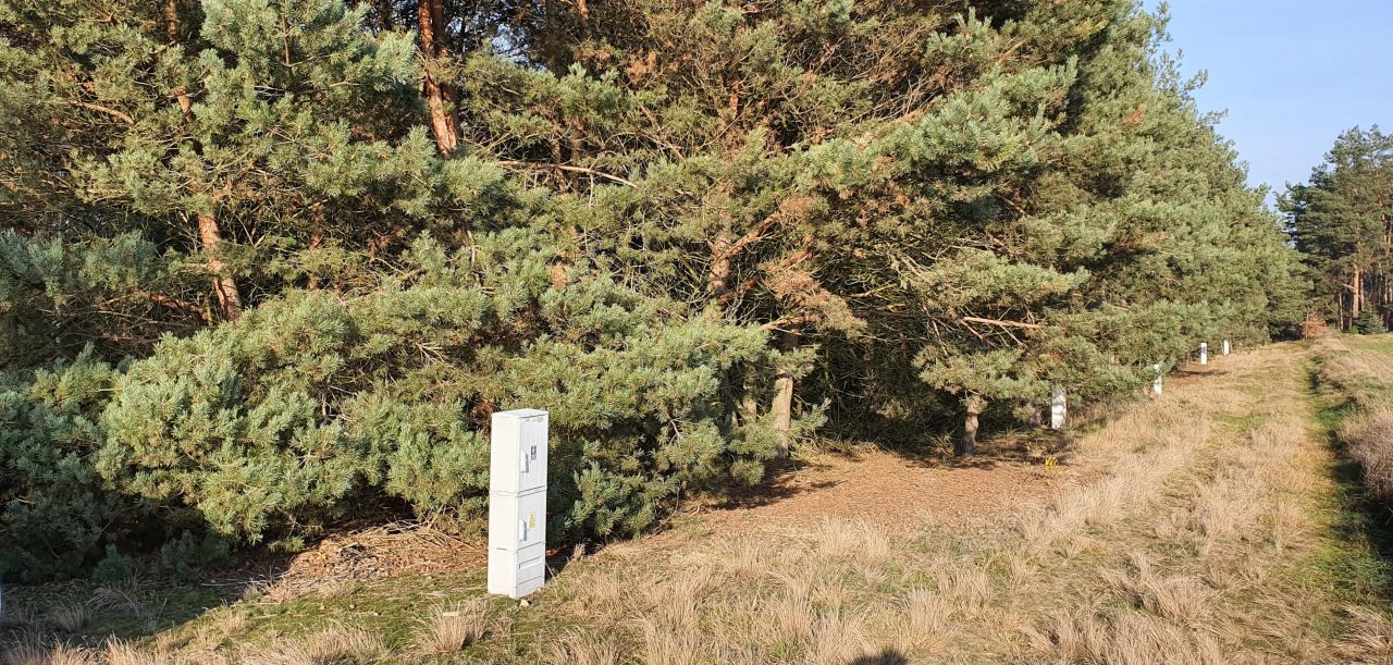 Działka rekreacyjna Chrzypsko Małe. Zdjęcie 6