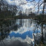 Działka rekreacyjna Głuchów. Zdjęcie 2