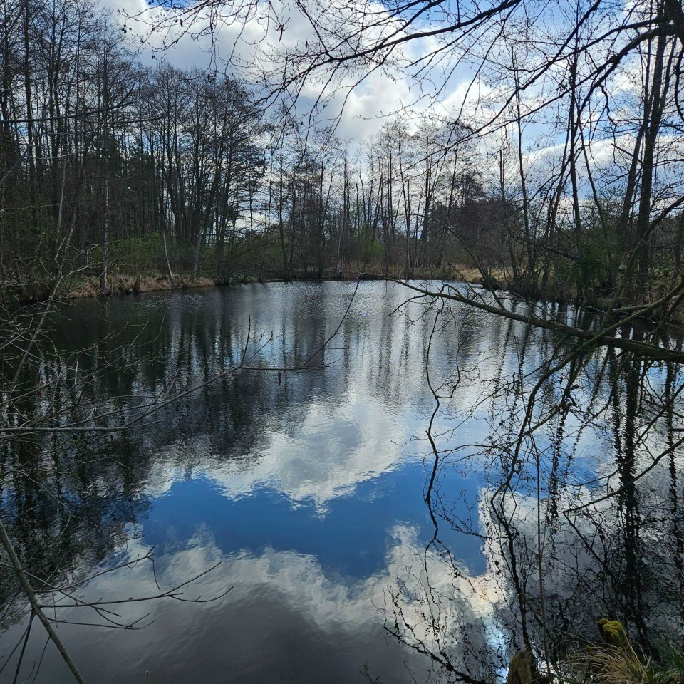 Działka rekreacyjna Głuchów. Zdjęcie 3