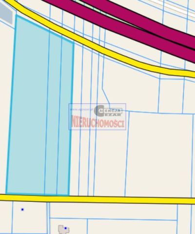 Działka rolna Brzozówka. Zdjęcie 3
