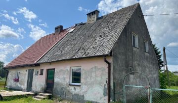 bliźniak Żardeniki