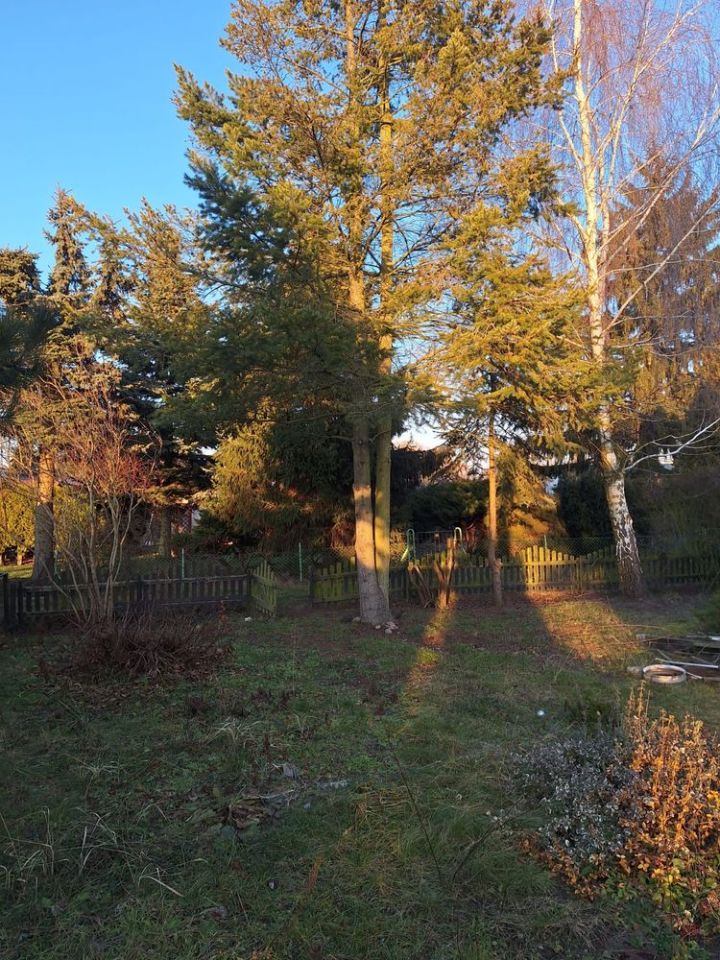 Działka rod Koninko. Zdjęcie 4