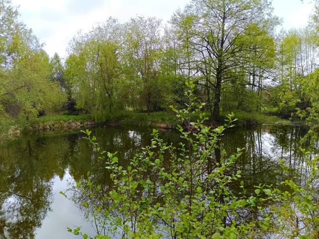 Działka rolna Smogorzewo Pańskie. Zdjęcie 2