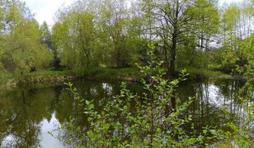 Działka rolna Smogorzewo Pańskie