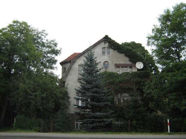 dom wolnostojący, 6 pokoi Torzym, ul. Wojska Polskiego. Zdjęcie 1