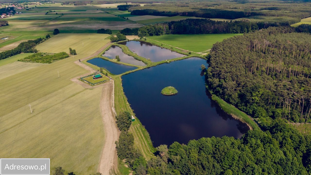Działka rolno-budowlana Torzeniec. Zdjęcie 2