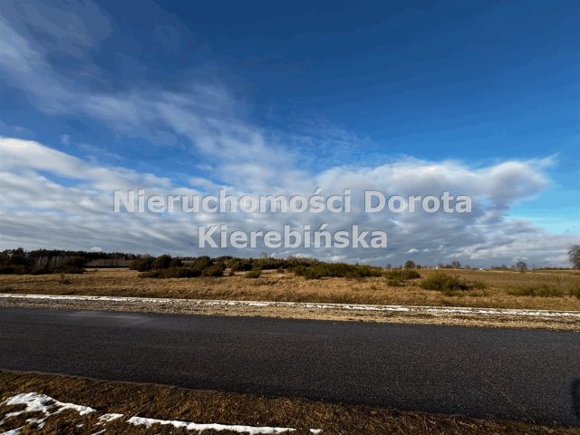 Działka Brzustów. Zdjęcie 2