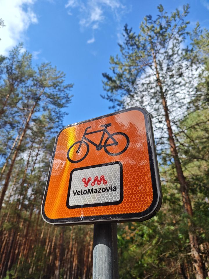 Działka leśna Lipniak-Majorat. Zdjęcie 3