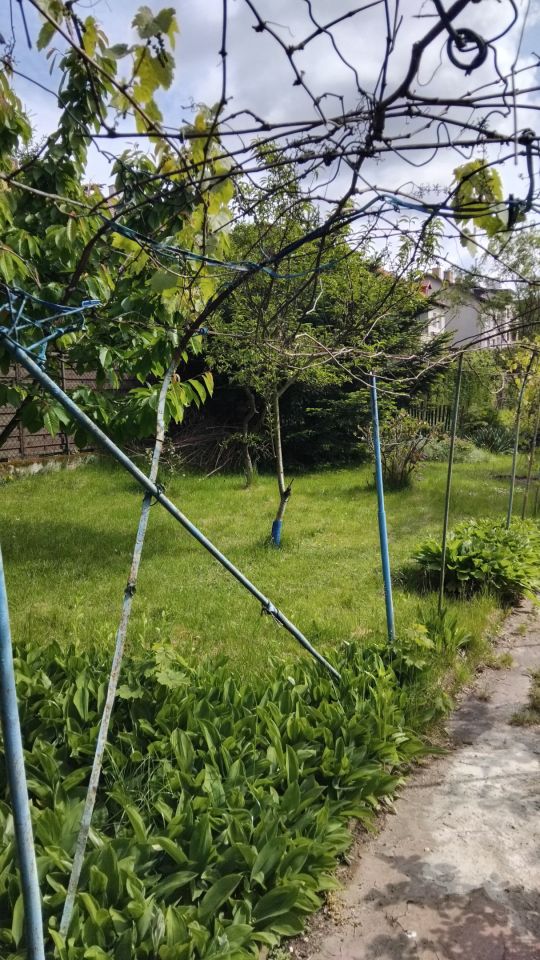 Działka rod Kwidzyn, ul. Józefa Hallera. Zdjęcie 5