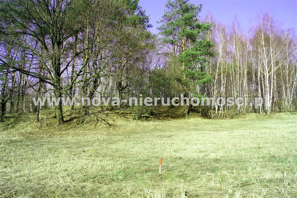 Działka rolno-budowlana Rybnik Ligota. Zdjęcie 3