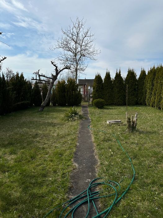 Działka rod Lubin. Zdjęcie 7