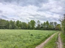 Działka rolno-budowlana Studzieniec. Zdjęcie 3