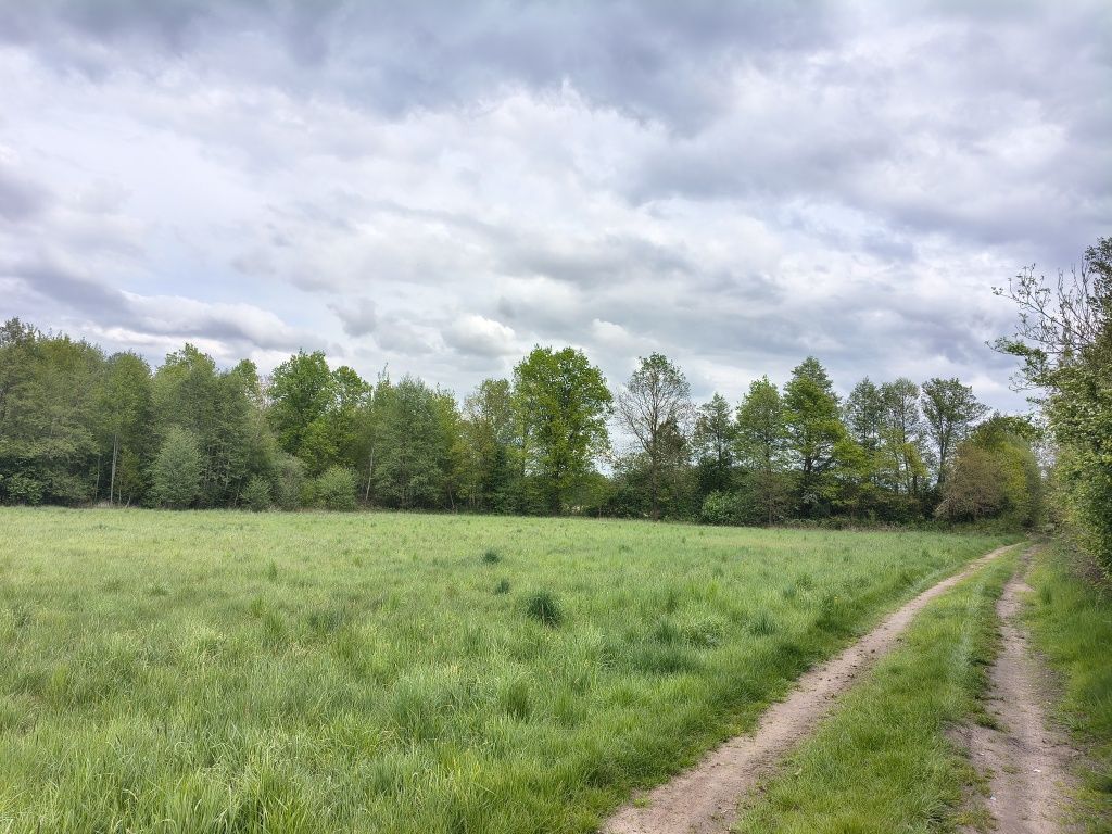 Działka rolno-budowlana Studzieniec. Zdjęcie 4