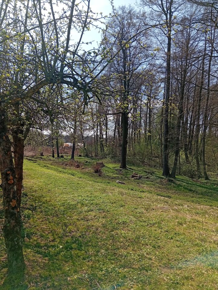 Działka rolno-budowlana Biejków. Zdjęcie 7