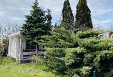 Działka rod Łódź Bałuty, ul. Hodowlana. Zdjęcie 1