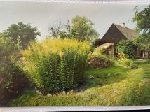 Działka siedliskowa Magnuszew Duży Magnuszew. Zdjęcie 2