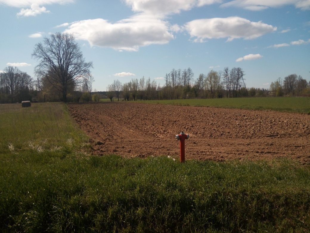 Działka rolno-budowlana Przęsławice. Zdjęcie 4