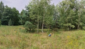 Działka budowlana Barniewice