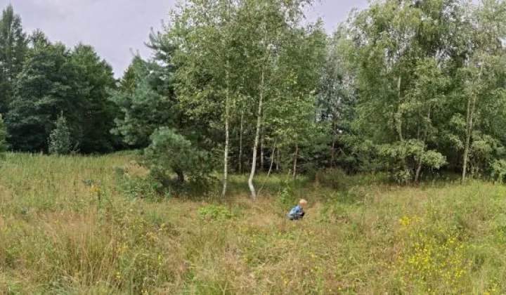 Działka budowlana Barniewice