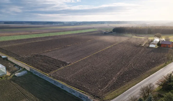 Działka budowlana Koźminek, ul. Słowiki Pierwsze