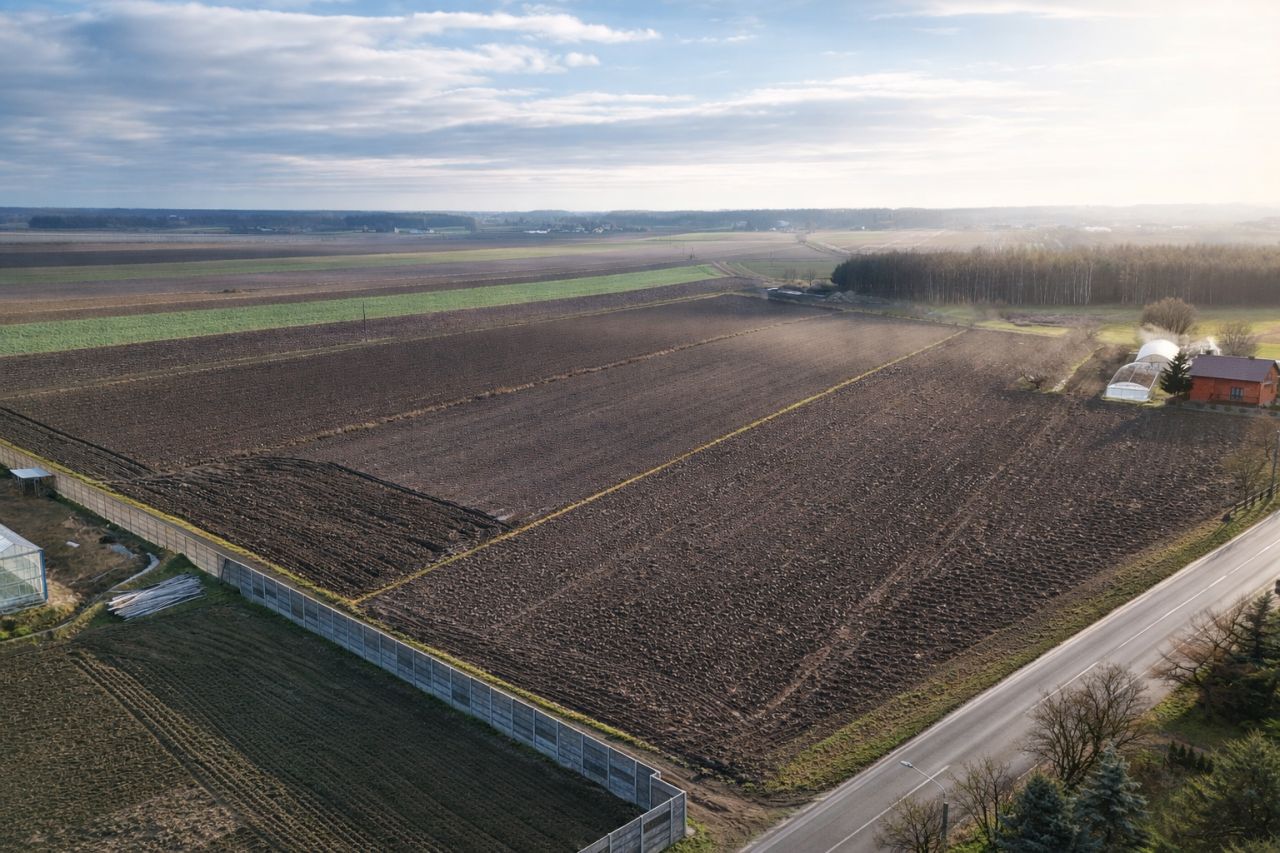 Działka budowlana Koźminek, ul. Słowiki Pierwsze