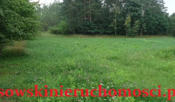 Działka rolna Mikołajew