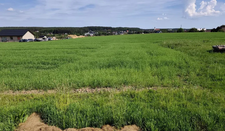 Działka budowlana Luzino, ul. Rumiankowa