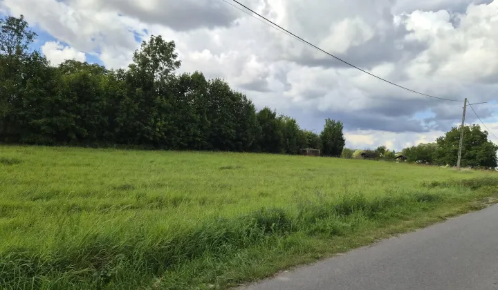 Działka rolno-budowlana Drawno, ul. Leśna