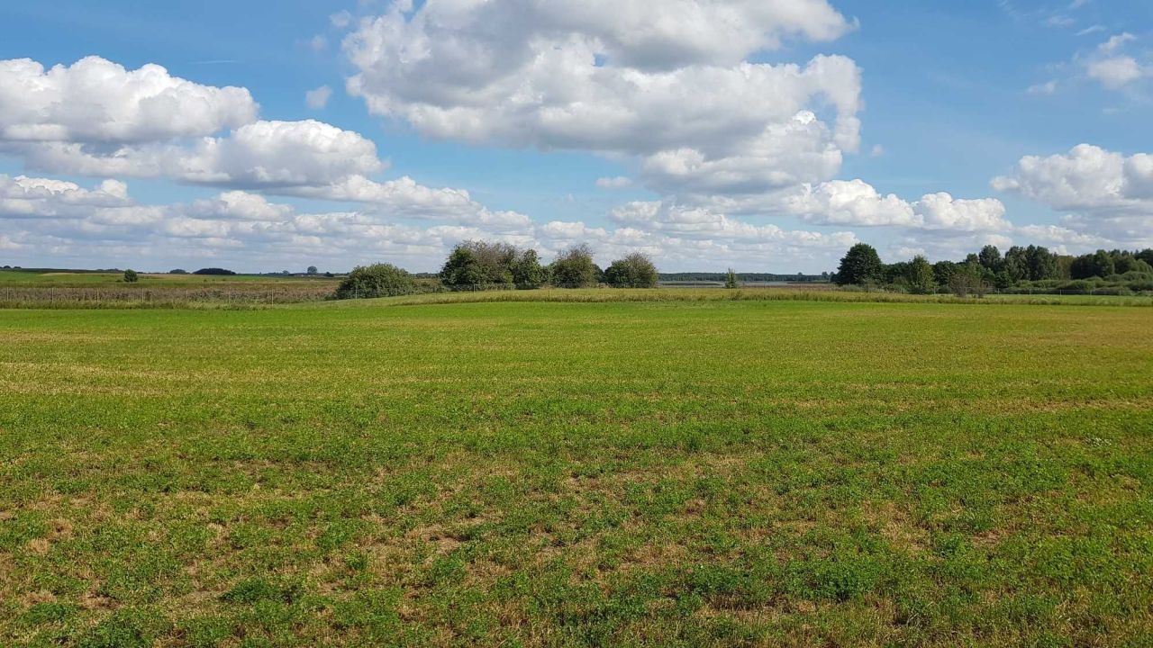 Działka rekreacyjna Tajno Podjeziorne. Zdjęcie 7