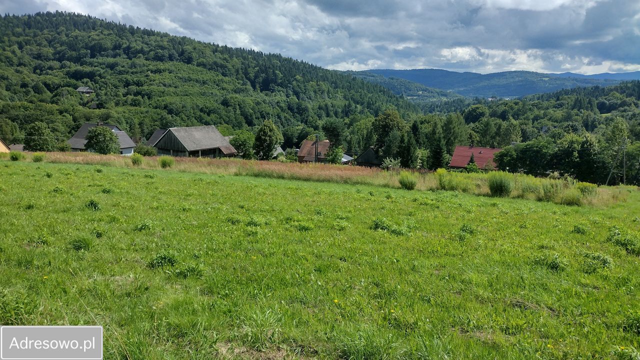 Działka rolno-budowlana Zachełmna. Zdjęcie 6